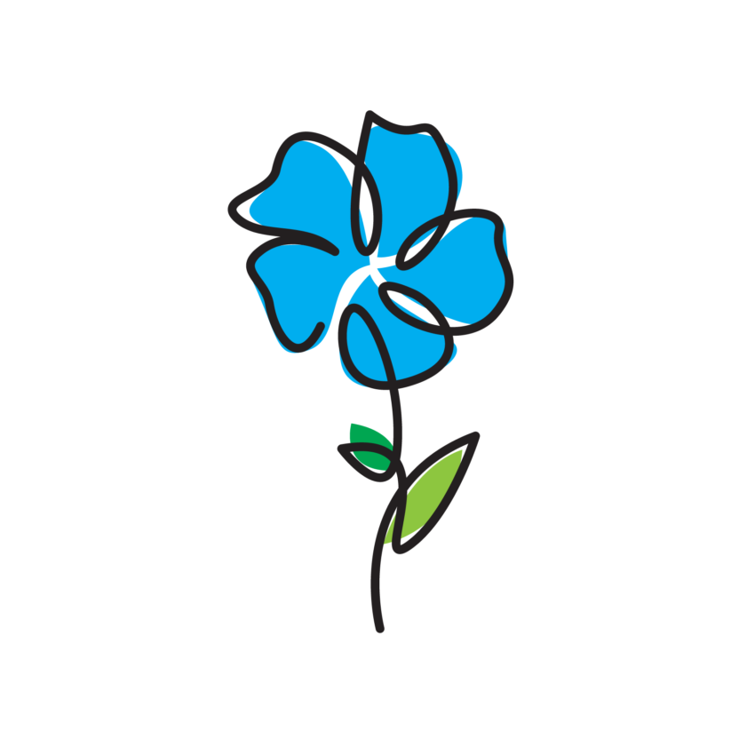 Obsequio Flower-León - Imagen 4