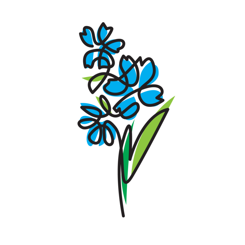 Obsequio Flower-León - Imagen 6