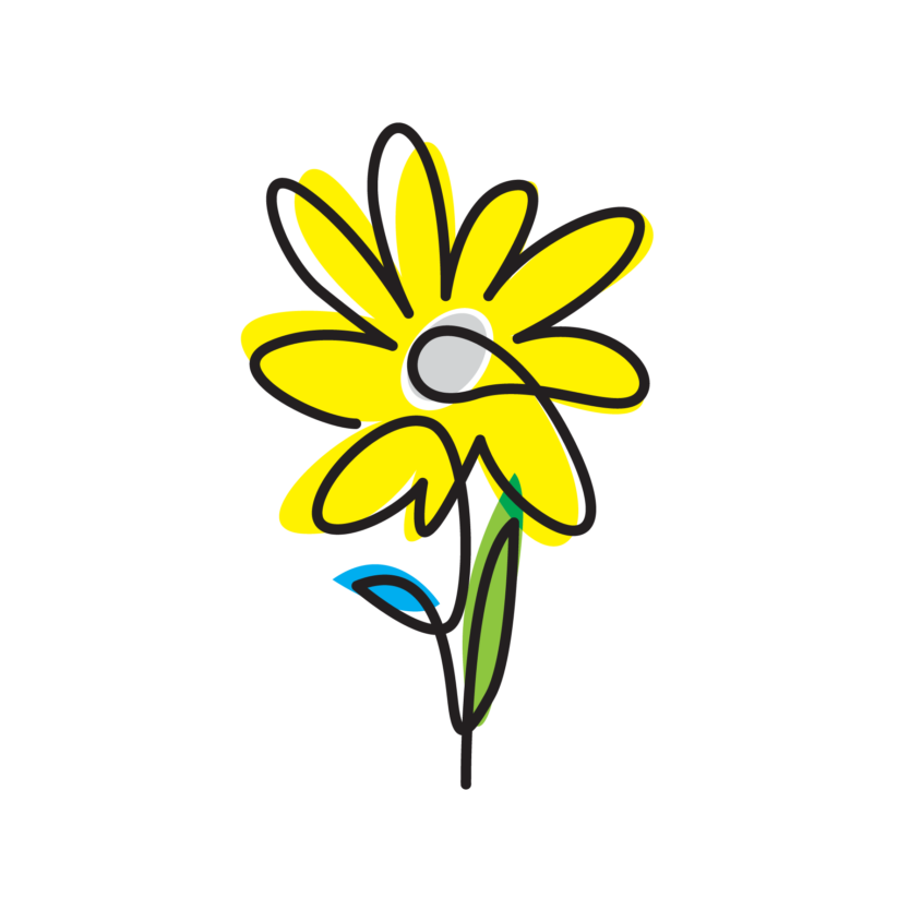 Obsequio Flower-León - Imagen 8