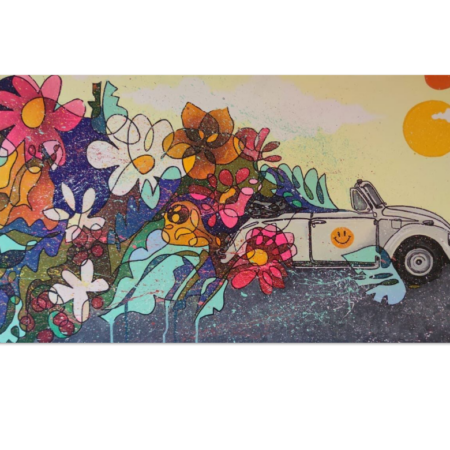 Ruta Floral – Volkswagen de Recuerdos